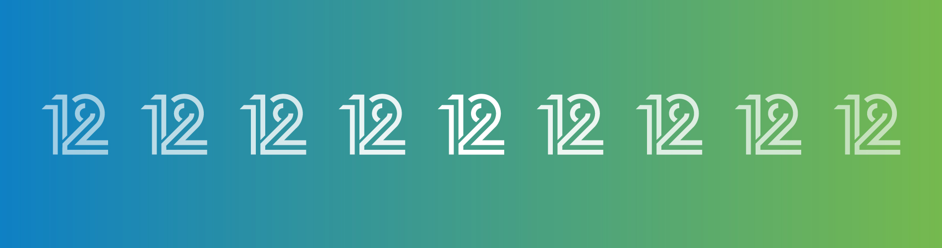 12 Causas