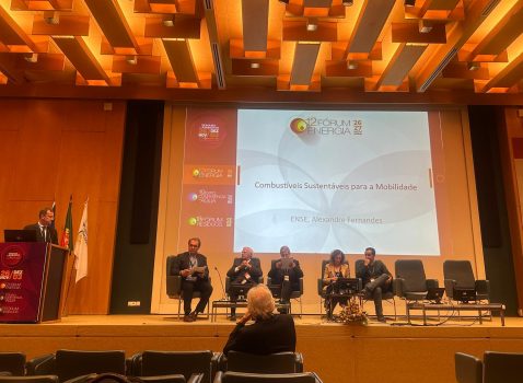 mesa redonda
