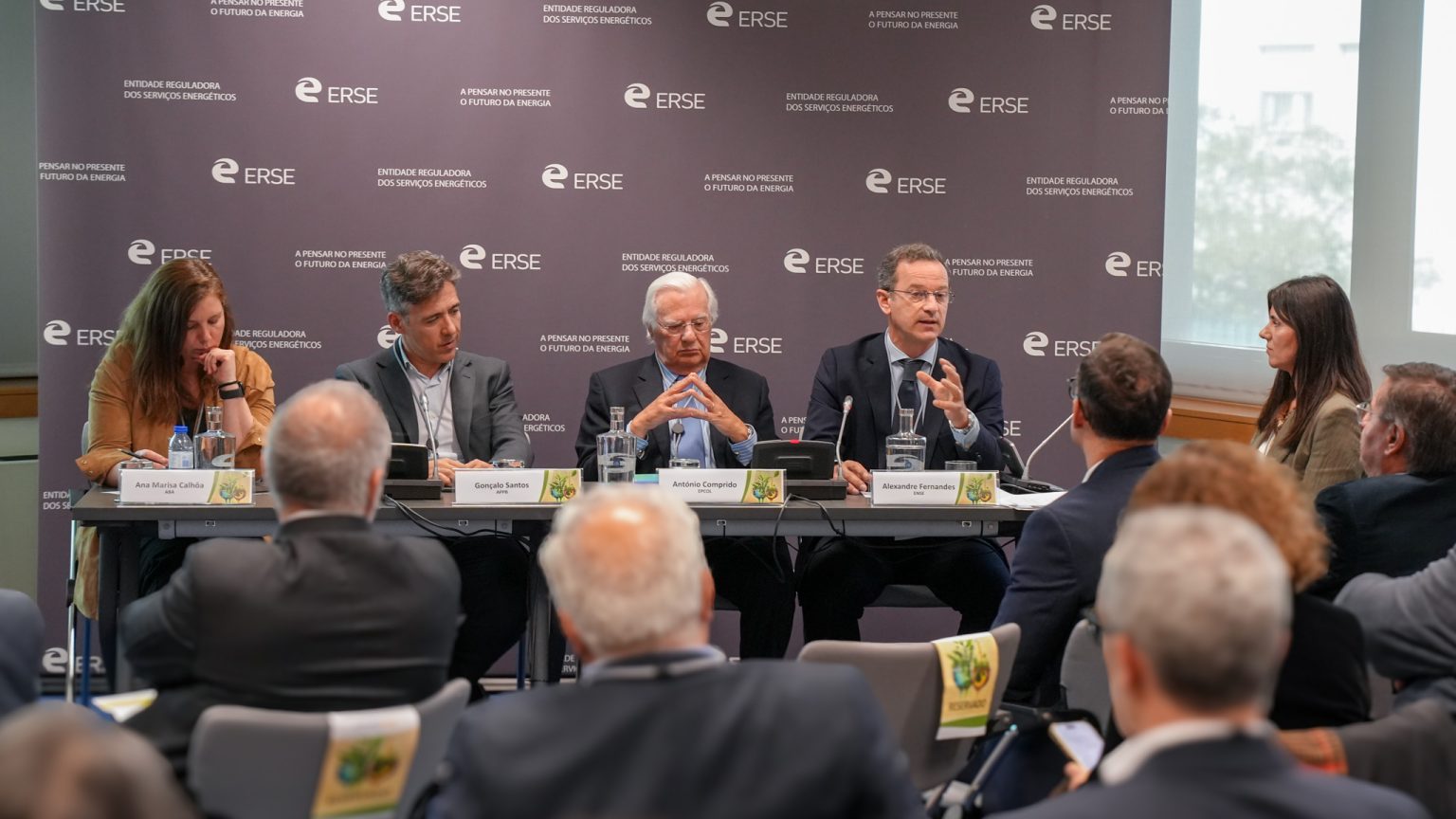 Ense Pronet ENSE | Entidade Nacional para o Setor Energético